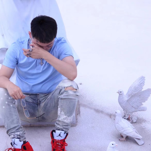 最新免费看视频A片网站
