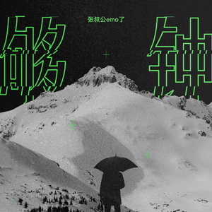 最新免费看视频A片网站
