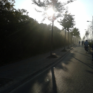 最新免费看视频A片网站
